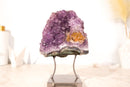Amethyst Cluster with Rare Flower Plate of Amethyst and Golden Goethite