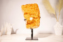 Orange Citrine Geode Cluster with Calcite Inclusion, Abundance Crystal, 4.1 Kg - 9.0 lb - E2D Crystals & Minerals