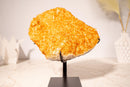 Golden Yellow Citrine Cluster with a Large Rosette Flower (Stalactite) on Stand - 3.5 Kg - 7.7 lb - E2D Crystals & Minerals