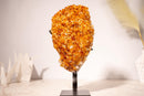 AAA - Grade Citrine Cluster with Intense Orange Druzy and Blossoming Flower Formation, Set on a Custom - Made Stand - 4.4 Kg - 9.7 lb - E2D Crystals & Minerals