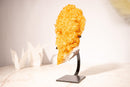 Small Citrine Cluster with Golden Yellow Citrine Druzy, Custom - Made Stand - 2.2 Kg - 4.8 lb - E2D Crystals & Minerals