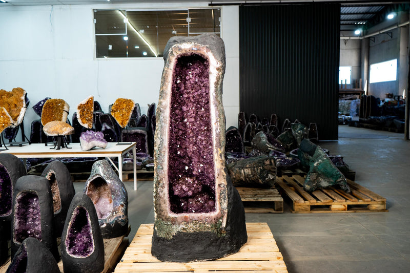 X - Large Amethyst Geode with Rare Golden Rutile (Goethite) Flower - E2D Crystals & Minerals