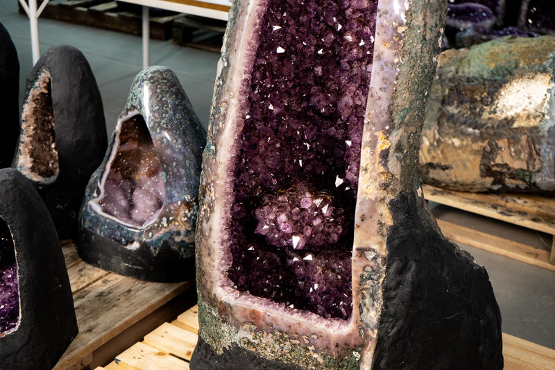 X - Large Amethyst Geode with Rare Golden Rutile (Goethite) Flower - E2D Crystals & Minerals