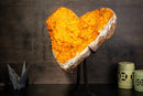 X - Large 22" Golden - Yellow Citrine Heart with Galaxy Druzy - E2D Crystals & Minerals