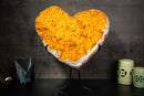 X - Large 22" Golden - Yellow Citrine Heart with Galaxy Druzy - E2D Crystals & Minerals