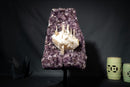 Amethyst Cluster with Rare “Excalibur” Long Scalenohedral Calcite in/on Calcite (Uruguay) – Large Cabinet Specimen - 20.5 In - 37 Lb - E2D Crystals & Minerals