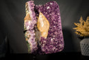 Scalenohedral Gemmy Golden Calcite on Purple Amethyst – 8 - Inch Large - E2D Crystals & Minerals