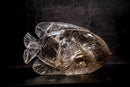 Fish Sculpture in Natural Clear Quartz Crystal, Hand Carved in Natural Smoky Quartz - E2D Crystals & Minerals