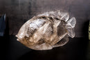 Fish Sculpture in Natural Clear Quartz Crystal, Hand Carved in Natural Smoky Quartz - E2D Crystals & Minerals