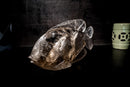 Fish Sculpture in Natural Clear Quartz Crystal, Hand Carved in Natural Smoky Quartz - E2D Crystals & Minerals