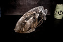 Fish Sculpture in Natural Clear Quartz Crystal, Hand Carved in Natural Smoky Quartz - E2D Crystals & Minerals