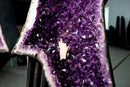 X - Large 6.1ft Deep Purple Amethyst Butterfly Wings (460 lb) - Statement Geode For Healing, Interior Decor - E2D Crystals & Minerals
