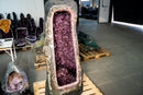 X - Large Amethyst Geode with Rare Golden Rutile (Goethite) Flower - E2D Crystals & Minerals