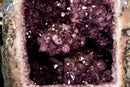 X - Large Amethyst Geode with Rare Golden Rutile (Goethite) Flower - E2D Crystals & Minerals