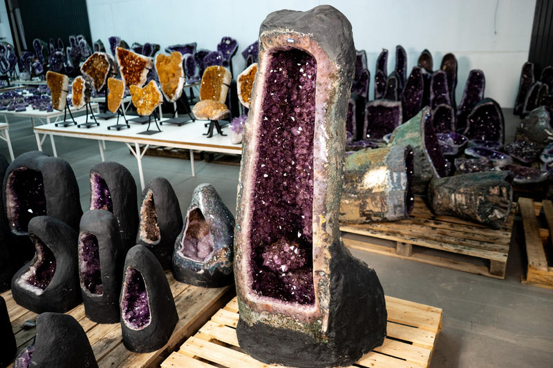 X - Large Amethyst Geode with Rare Golden Rutile (Goethite) Flower - E2D Crystals & Minerals