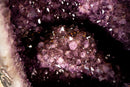 X - Large Amethyst Geode with Rare Golden Rutile (Goethite) Flower - E2D Crystals & Minerals