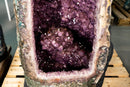 X - Large Amethyst Geode with Rare Golden Rutile (Goethite) Flower - E2D Crystals & Minerals