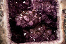 X - Large Amethyst Geode with Rare Golden Rutile (Goethite) Flower - E2D Crystals & Minerals