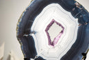 Rare Dark Blue & White Lace Agate Geode – Striped Laces and Purple Druzy Interior, Intact Gallery - Grade Specimen - 5.8 Kg - 12.8 lb - E2D Crystals & Minerals