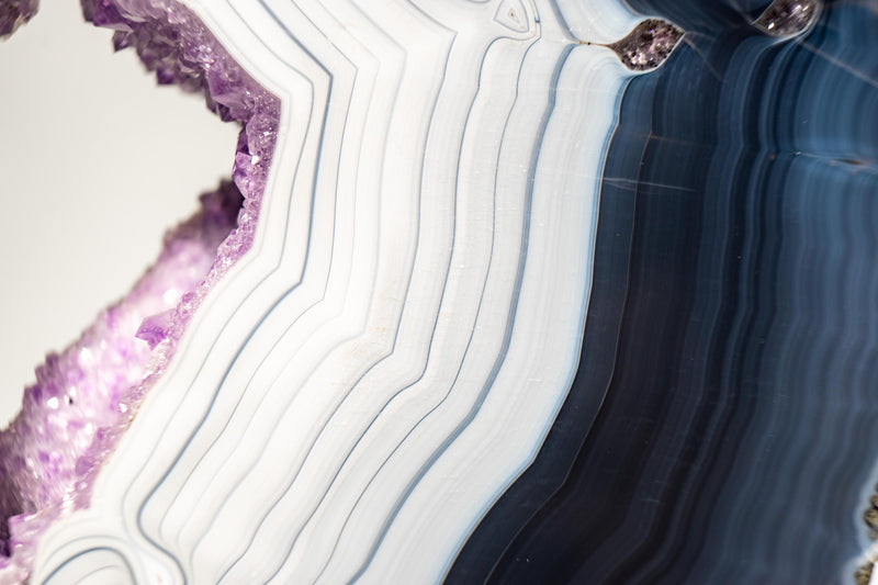Rare Dark Blue & White Lace Agate Geode – Striped Laces and Purple Druzy Interior, Intact Gallery - Grade Specimen - 5.8 Kg - 12.8 lb - E2D Crystals & Minerals