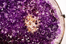 Large AAA - Grade Amethyst Cluster – Grape - Jelly Purple & Sparkling Druzy on Custom - Made Stand – Uruguay - 23.1 Kg - 51 lb - E2D Crystals & Minerals