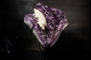 Large Scalonehedral Crystal Calcite Specimen on Purple Amethyst - E2D Crystals & Minerals