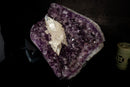 Large Scalonehedral Crystal Calcite Specimen on Purple Amethyst - E2D Crystals & Minerals