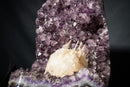 Amethyst Cluster with Rare Intact “Excalibur” Long Scalenohedral Calcites in/on Calcite (Uruguay) – Large Cabinet Specimen - 17 In - 39 Lb - E2D Crystals & Minerals