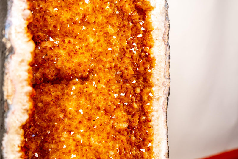 Sculptural 3.7 Ft Large Citrine Geode with Sparkly Golden - Orange Druzy & Calcite Inclusions (126 lbs.) - E2D Crystals & Minerals