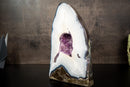 X Rare White Lace Agate Geode with Violet Druzy Cave – Polished, Rare Brazilian Specimen, 7.0 Kg - 15.4 lb - E2D Crystals & Minerals