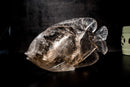 Fish Sculpture in Natural Clear Quartz Crystal, Hand Carved in Natural Smoky Quartz - E2D Crystals & Minerals