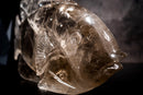 Fish Sculpture in Natural Clear Quartz Crystal, Hand Carved in Natural Smoky Quartz - E2D Crystals & Minerals