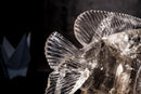 Fish Sculpture in Natural Clear Quartz Crystal, Hand Carved in Natural Smoky Quartz - E2D Crystals & Minerals