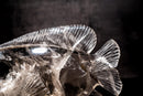 Fish Sculpture in Natural Clear Quartz Crystal, Hand Carved in Natural Smoky Quartz - E2D Crystals & Minerals