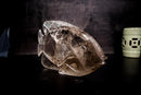 Fish Sculpture in Natural Clear Quartz Crystal, Hand Carved in Natural Smoky Quartz - E2D Crystals & Minerals