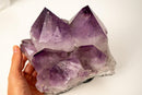 Rare Amethyst Cluster with X - Large Purple Crystal Points – Collection - Grade Brazilian Specimen, 100% Natural and Intact, 14 Lbs. - E2D Crystals & Minerals