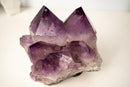 Rare Amethyst Cluster with X - Large Purple Crystal Points – Collection - Grade Brazilian Specimen, 100% Natural and Intact, 14 Lbs. - E2D Crystals & Minerals
