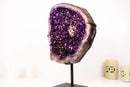 Large AAA - Grade Amethyst Cluster – Grape - Jelly Purple & Sparkling Druzy on Custom - Made Stand – Uruguay - 23.1 Kg - 51 lb - E2D Crystals & Minerals