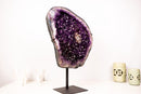 Large AAA - Grade Amethyst Cluster – Grape - Jelly Purple & Sparkling Druzy on Custom - Made Stand – Uruguay - 23.1 Kg - 51 lb - E2D Crystals & Minerals