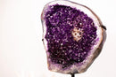 Large AAA - Grade Amethyst Cluster – Grape - Jelly Purple & Sparkling Druzy on Custom - Made Stand – Uruguay - 23.1 Kg - 51 lb - E2D Crystals & Minerals