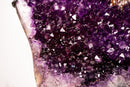 Large AAA - Grade Amethyst Cluster – Grape - Jelly Purple & Sparkling Druzy on Custom - Made Stand – Uruguay - 23.1 Kg - 51 lb - E2D Crystals & Minerals
