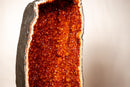 AAA - Grade Citrine Cathedral Geode – Extra - Large Madeira Citrine for Collection, Luxury Décor & Energy Work - (57 kg / 28 In.) - E2D Crystals & Minerals