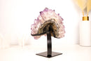 Amethyst Flower Cluster with Large, Aesthetic Lavender Purple Amethyst Points - E2D Crystals & Minerals