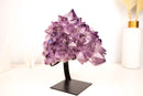 Amethyst Flower Cluster with Large, Aesthetic Lavender Purple Amethyst Points - E2D Crystals & Minerals