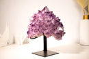 Amethyst Flower Cluster with Large, Aesthetic Lavender Purple Amethyst Points - E2D Crystals & Minerals