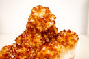 Natural Citrine Rosette Crystal Cluster with a Large Deep Orange Stalactite - E2D Crystals & Minerals