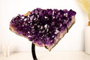 Grape Jelly Purple Amethyst Cluster – Sculptural AAA Quality Crystal - E2D Crystals & Minerals