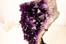 Grape Jelly Purple Amethyst Cluster – Large, AAA Quality with a Flower Formation - E2D Crystals & Minerals