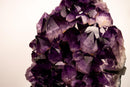 Grape Jelly Amethyst Cluster – AAA - Grade Saturated Deep Purple Crystals - E2D Crystals & Minerals