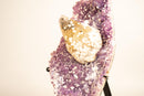 Rare Crystal Calcite on Lavender Amethyst Cluster with Cubic Calcite Inclusions - E2D Crystals & Minerals